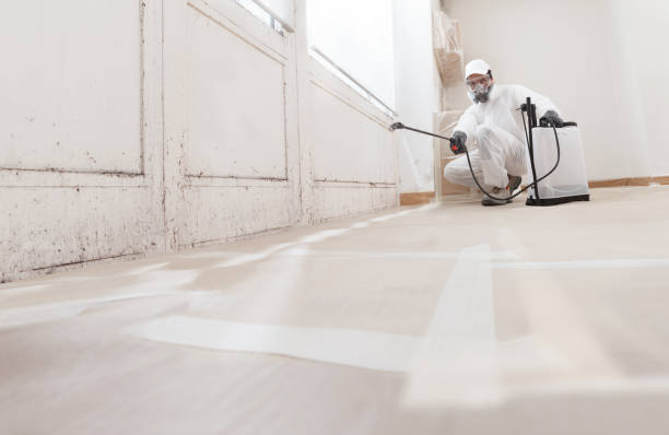 24/7 Emergency Commercial Mold Remediation experts in Coral Springs, FL